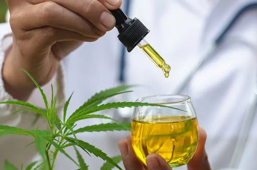 STJ autoriza produção caseira de canabidiol por homem com ansiedade patológica