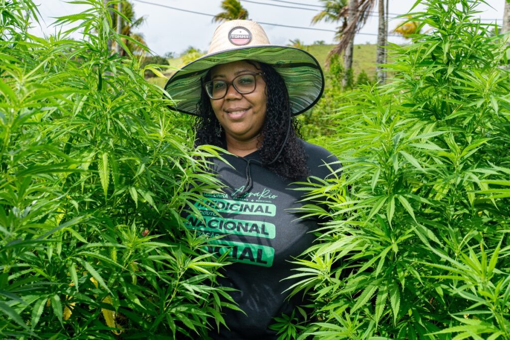 associação de Niterói conquista vitória na segunda instância para cultivar a erva
