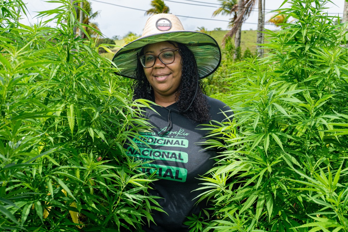 associação de Niterói conquista vitória na segunda instância para cultivar a erva