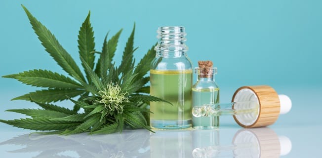 conheça os outros componentes da cannabis medicinal