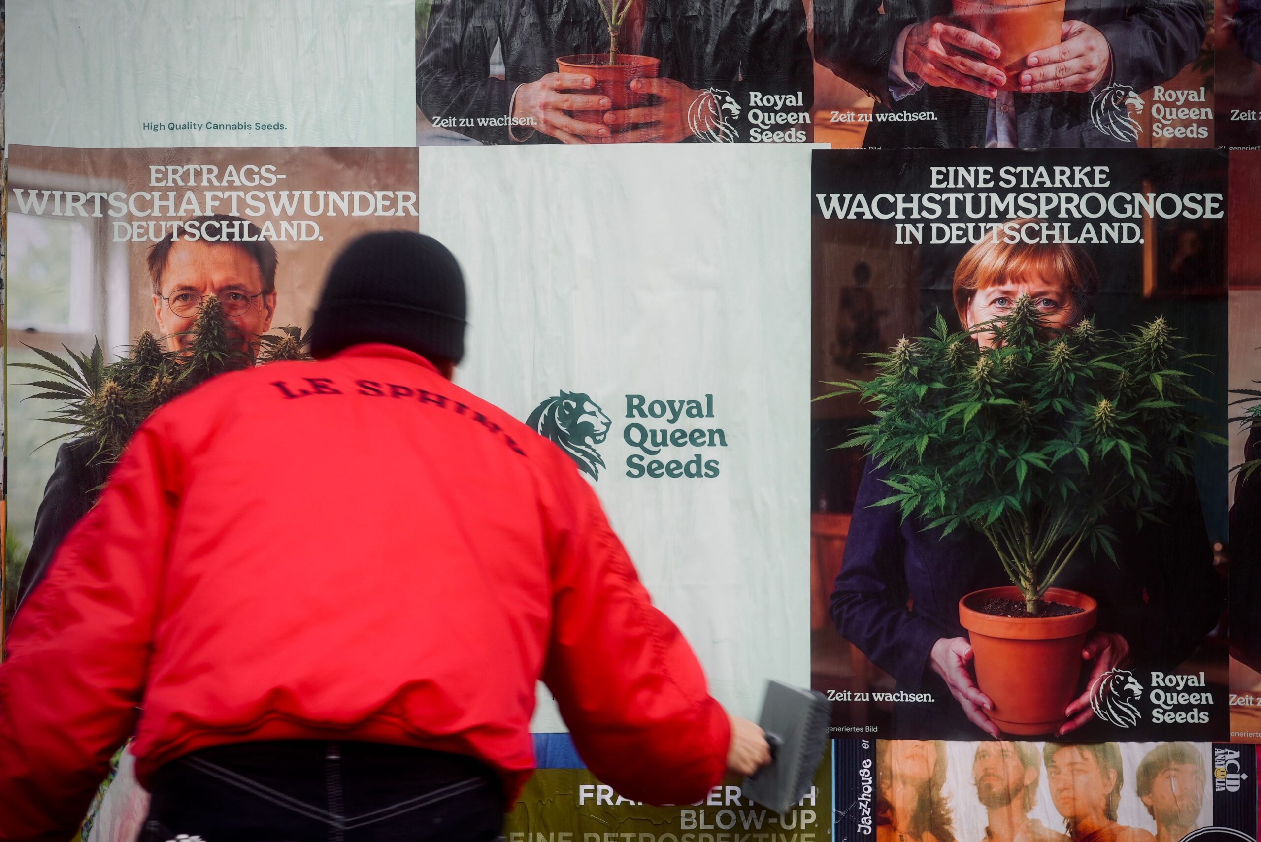 51% dos pais alemães são favoráveis ao cultivo doméstico, um ano após a legalização da cannabis