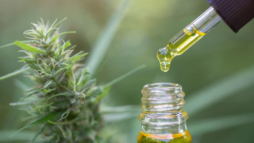 A revisão da RDC 327 e a disputa pelo mercado de cannabis medicinal brasileiro