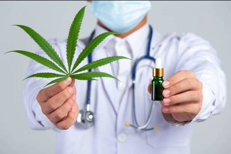 Audiência Pública com participação da OAB/AL vai debater o acesso à Cannabis Medicinal pelo SUS | OAB