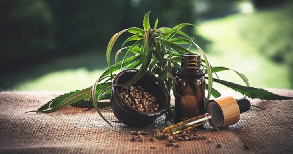 CANNABIS MEDICINAL CONTRA O CÂNCER: DESCOBERTAS …