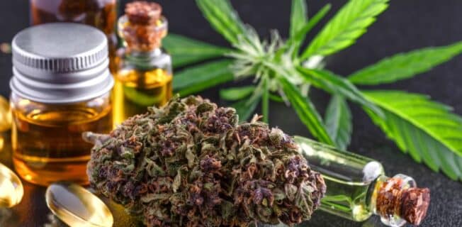 Como a cannabis medicinal pode ser utilizada para pessoas autistas