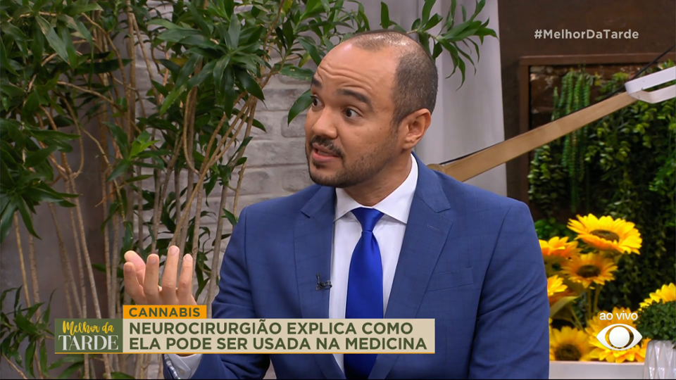 Diferenças entre a CANNABIS MEDICINAL e a MACONHA RECREATIVA - Band