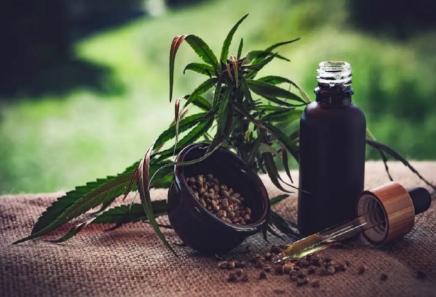 Frente Parlamentar da Cannabis Medicinal volta às atividades neste mês com homenagem a professor da Unicamp que é referência no tema