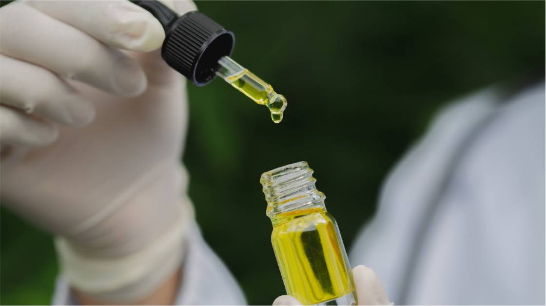 UNILA seleciona voluntários para pesquisa pioneira com cannabis medicinal – GDia