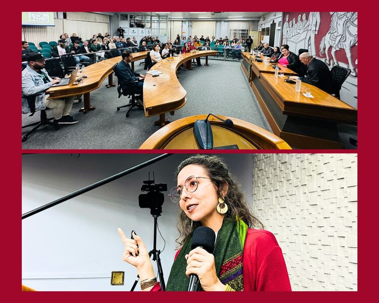 Audiência pública sobre o uso do canabidiol lota Câmara de Vereadores de Erechim