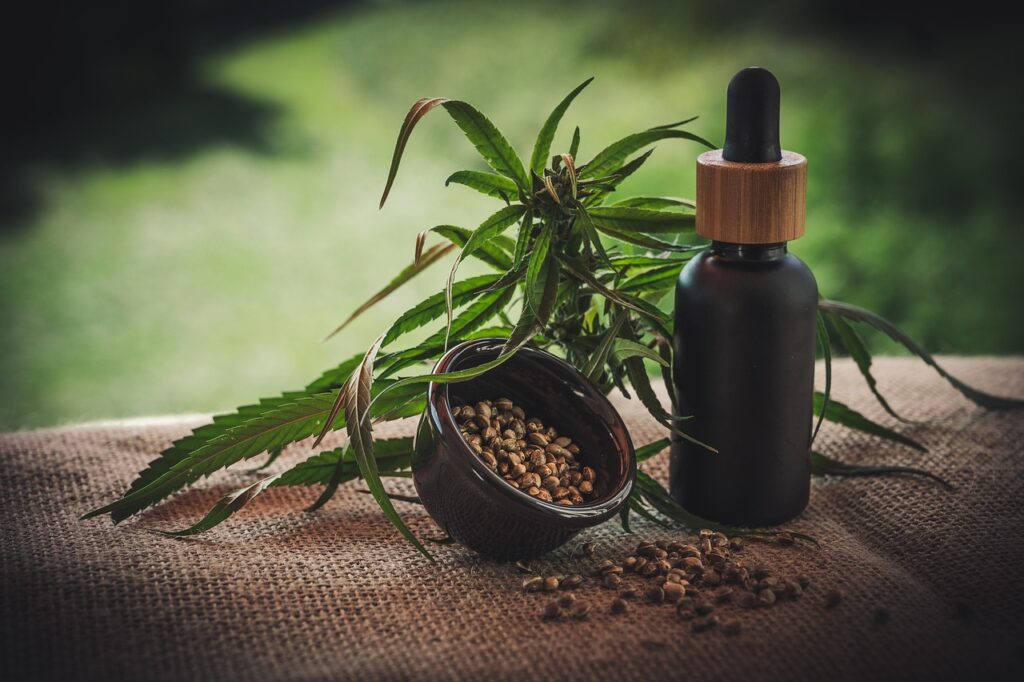 Canabidiol será distribuído gratuitamente pelo SUS em Santa Catarina