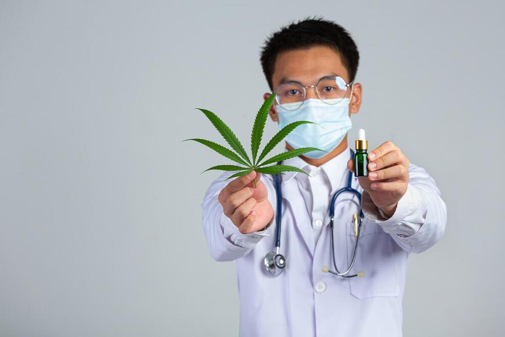 Cann Doc oferece curso gratuito de atualização em cannabis medicinal