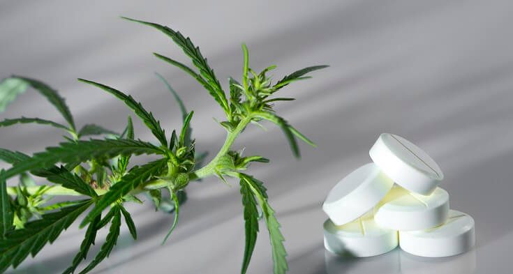 Cann Doc ultrapassa R$ 1 milhão em transações e lança novas ferramentas para impulsionar a prescrição de Cannabis medicinal