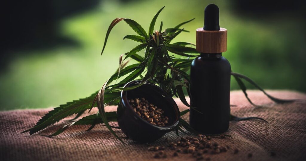 Distribuição de canabidiol pelo SUS em SC está orçada em R$ 3 milhões
