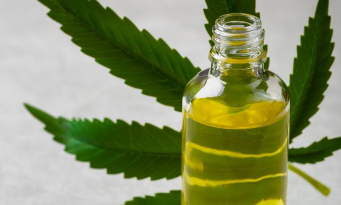 Especialistas discutem uso medicinal do canabidiol em programa Brasil ODS