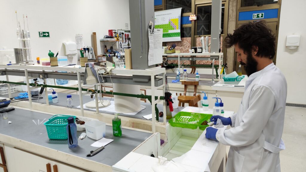 Estudo da UnB avalia padrão de qualidade de produção artesanal de cannabis medicinal