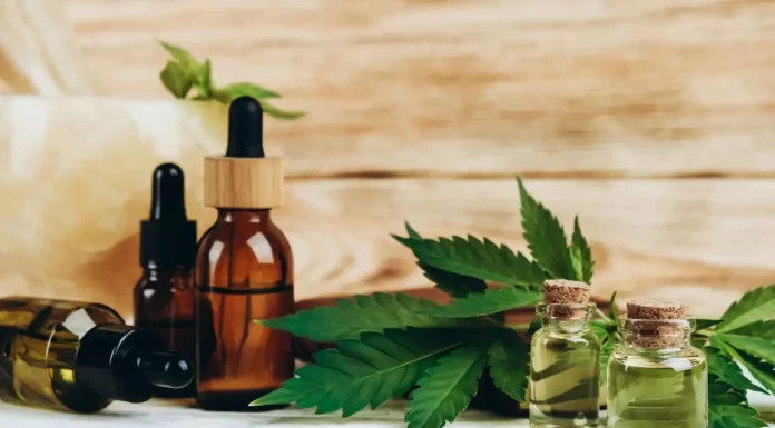 Governo apresenta projeto para regulamentar uso medicinal da cannabis até setembro; entenda