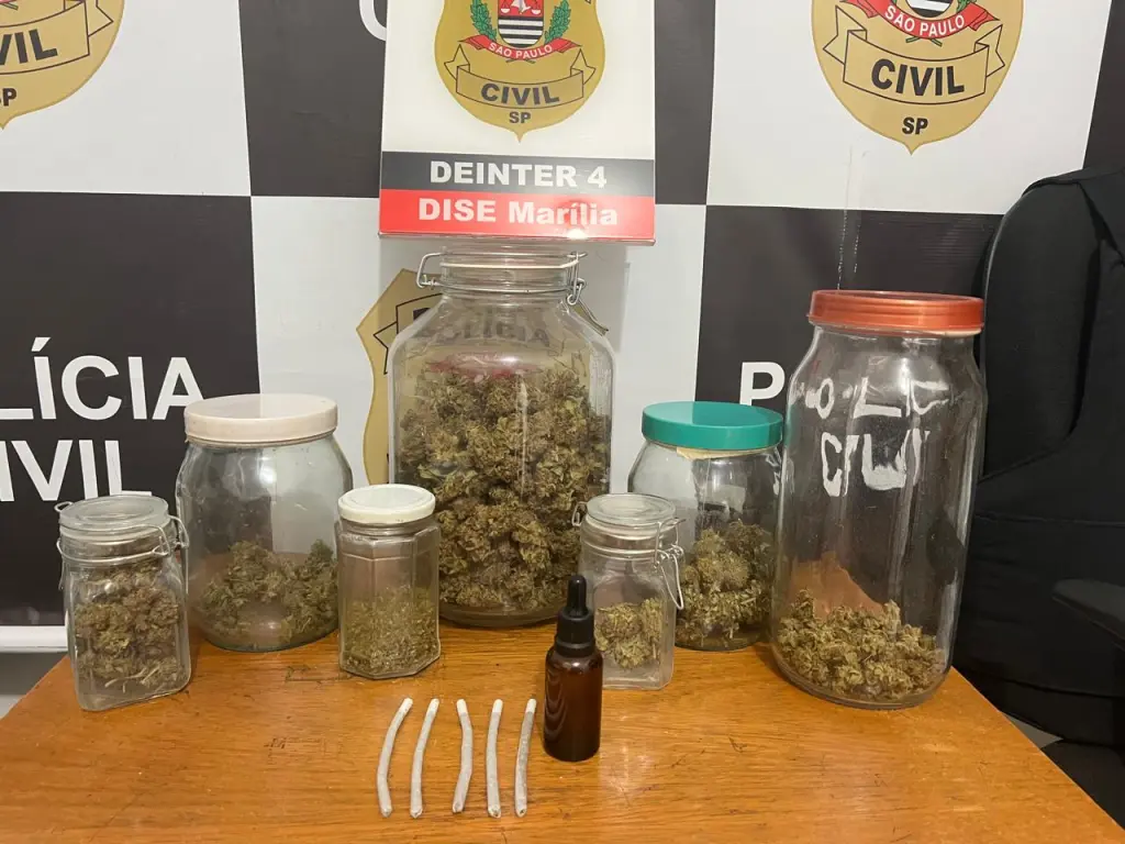 Idoso é preso em flagrante por cultivar maconha e extrair óleo de canabidiol em Marília