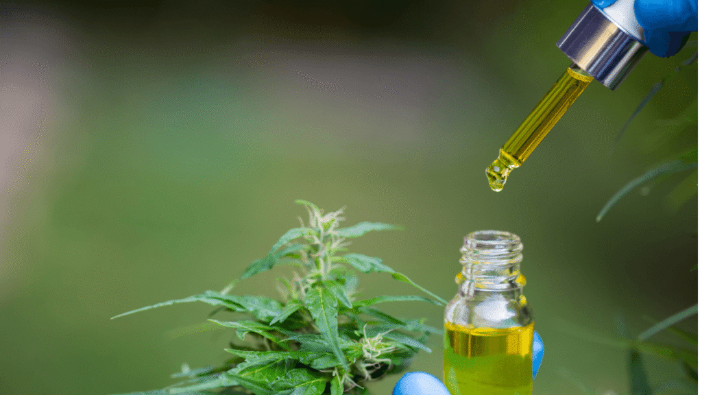 Justiça determina fornecimento de canabidiol para criança com epilepsia no RN