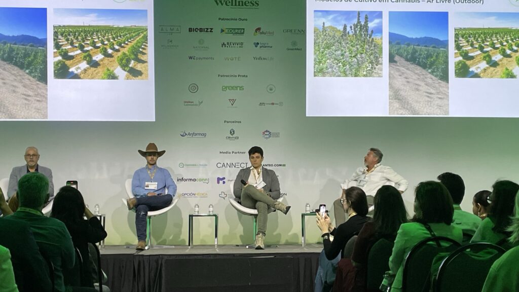 Limite de THC em cânhamo preocupa fazendeiros e associações