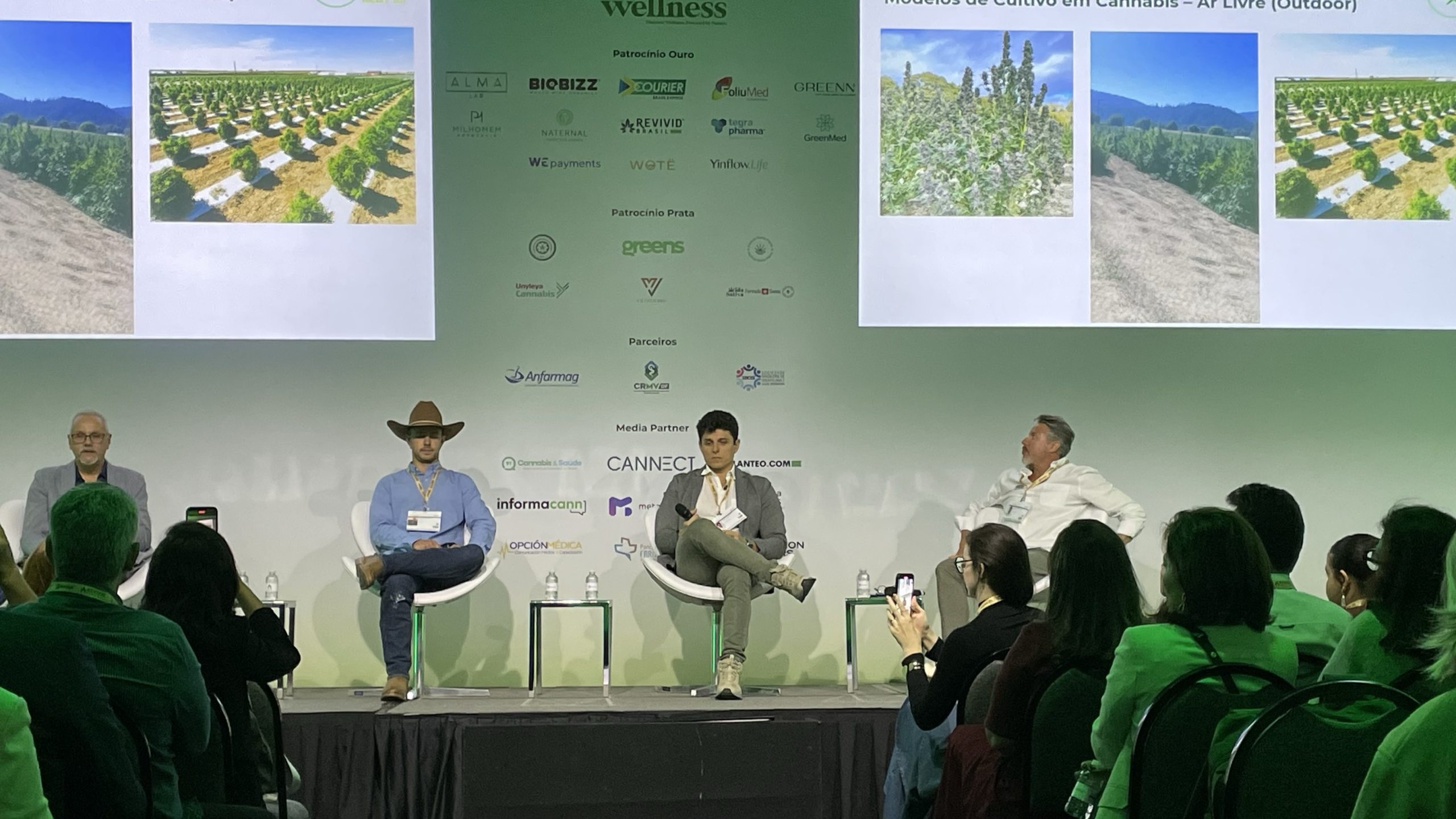 Limite de THC em cânhamo preocupa fazendeiros e associações