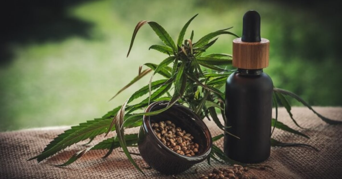 Medicamentos à base de cannabis têm recorde de autorização de importação