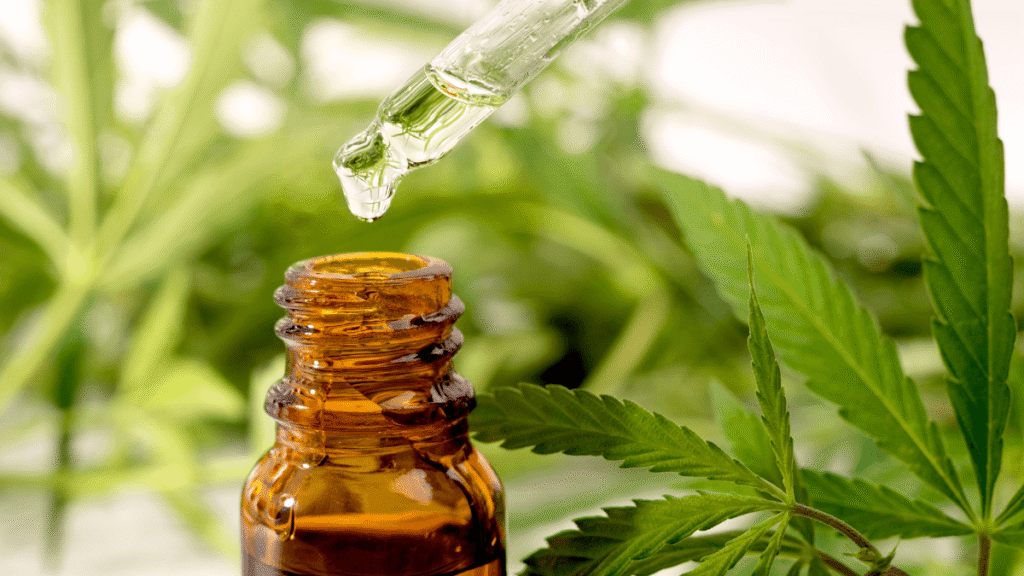 Mercado de cannabis medicinal avança no Brasil, mas enfrenta entraves financeiros e regulatórios