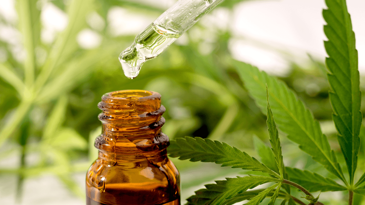 Mercado de cannabis medicinal avança no Brasil, mas enfrenta entraves financeiros e regulatórios