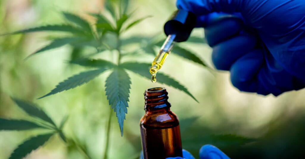 Paciente com lombalgia e ansiedade poderá cultivar cannabis medicinal