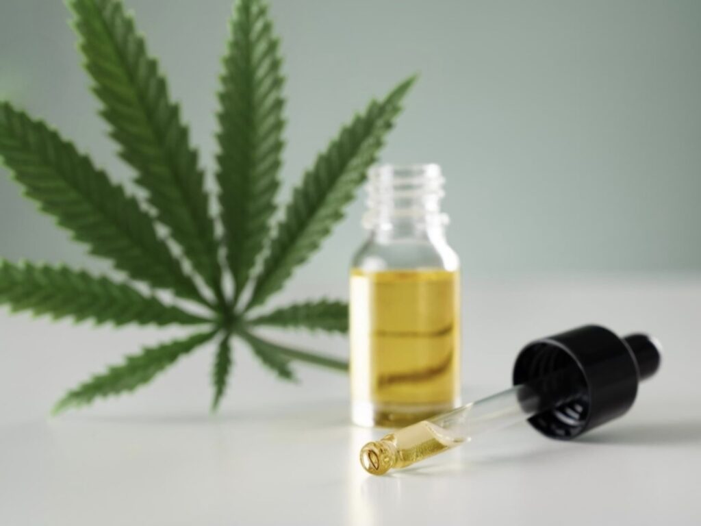 Santa Catarina amplia acesso a medicamentos de cannabis com nova lei, saiba mais