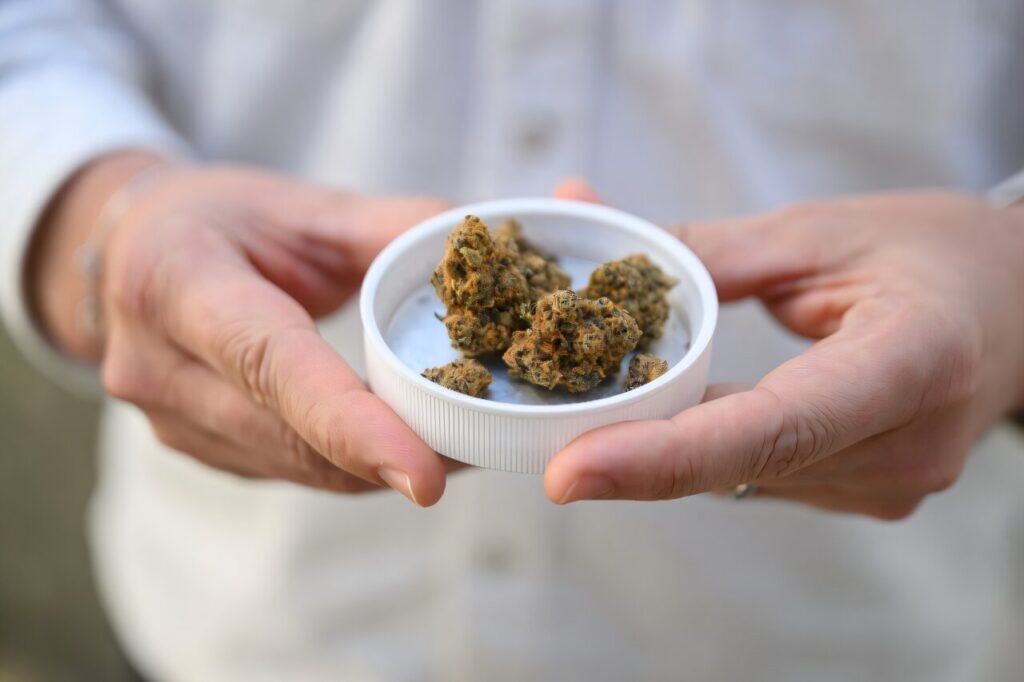 Tempos altos para a empresa alemã de cannabis entre o boom médico