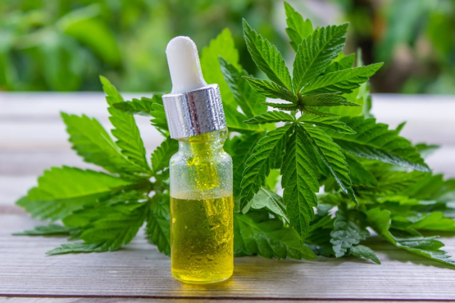 a dor invisível que paralisa vidas e encontra nova esperança na cannabis medicinal