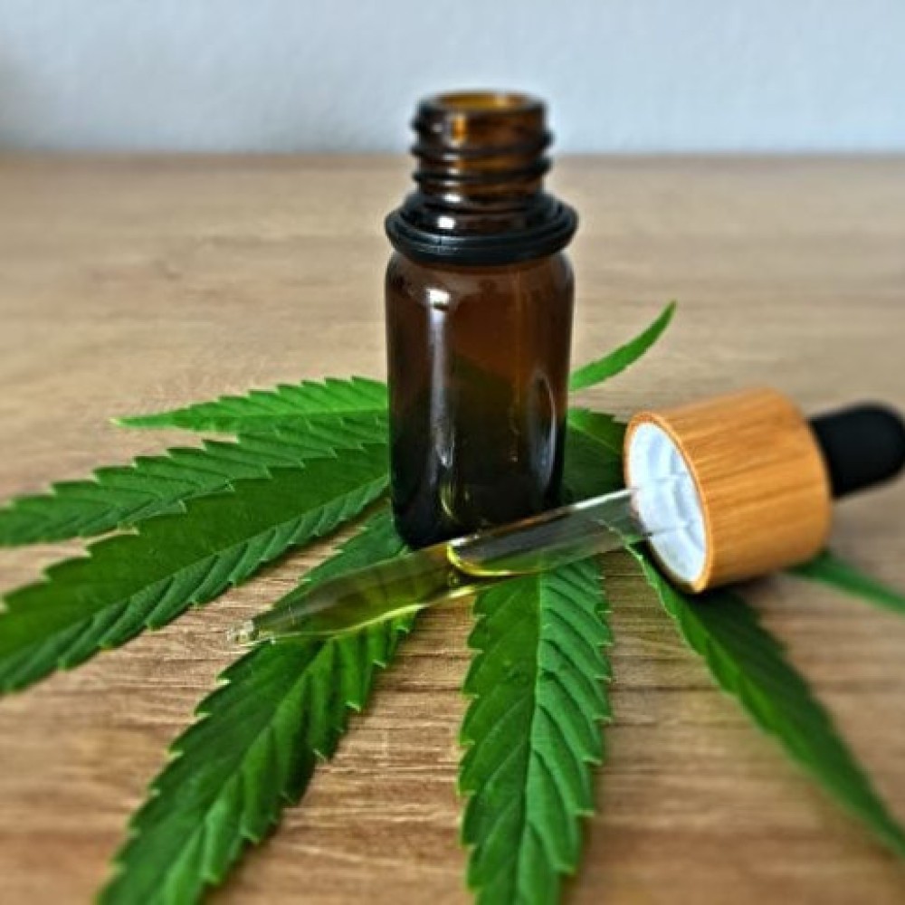 entenda sobre o uso da cannabis medicinal no Brasil