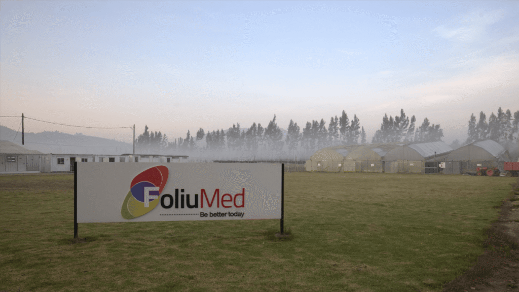 onde o sol da Colômbia encontra a esperança dos pacientes brasileiros