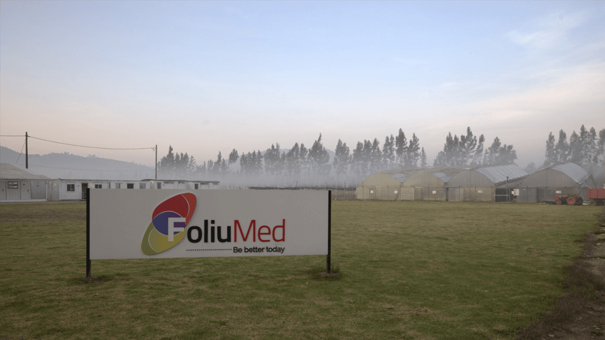 onde o sol da Colômbia encontra a esperança dos pacientes brasileiros