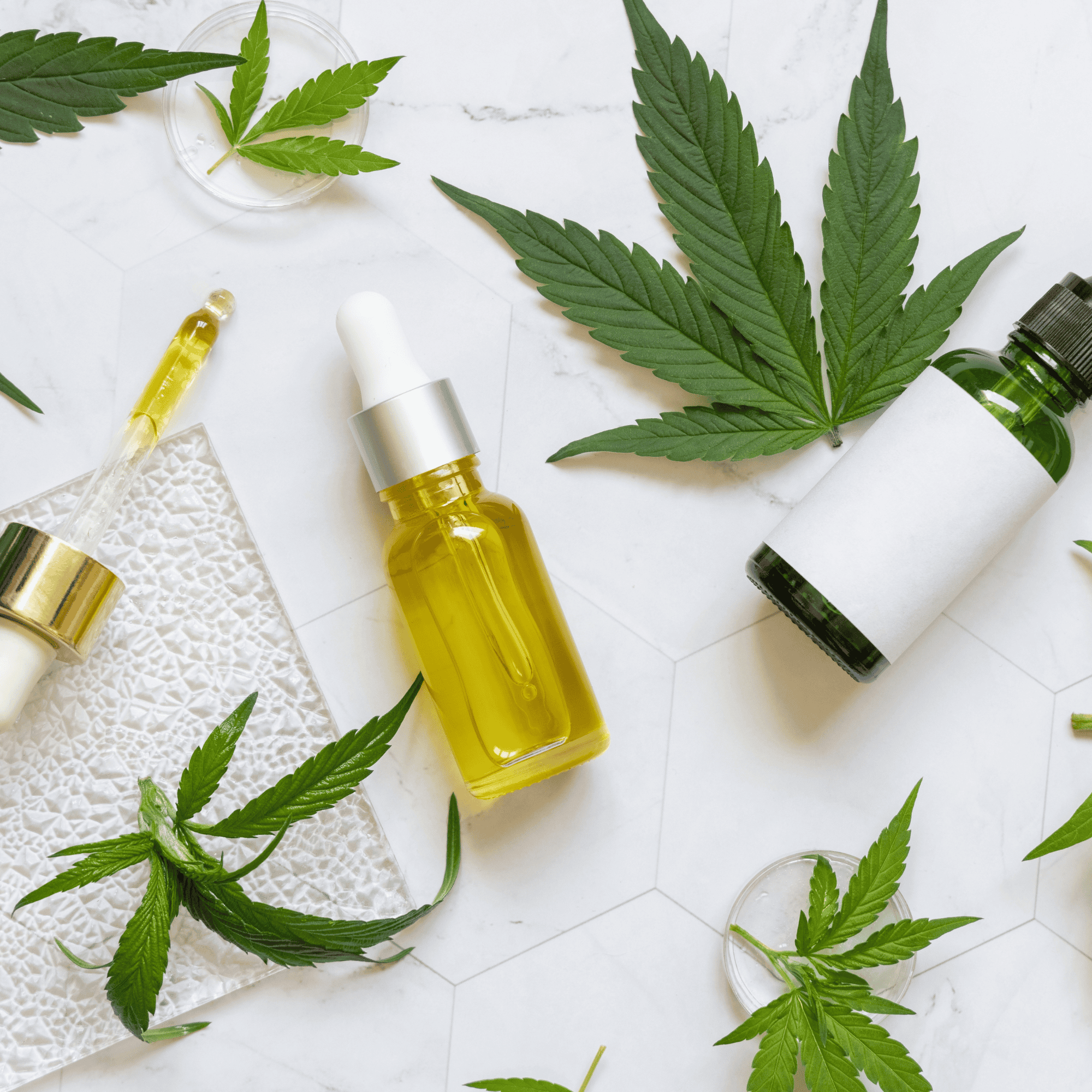 Aplicativo simplifica acesso à cannabis medicinal no Brasil