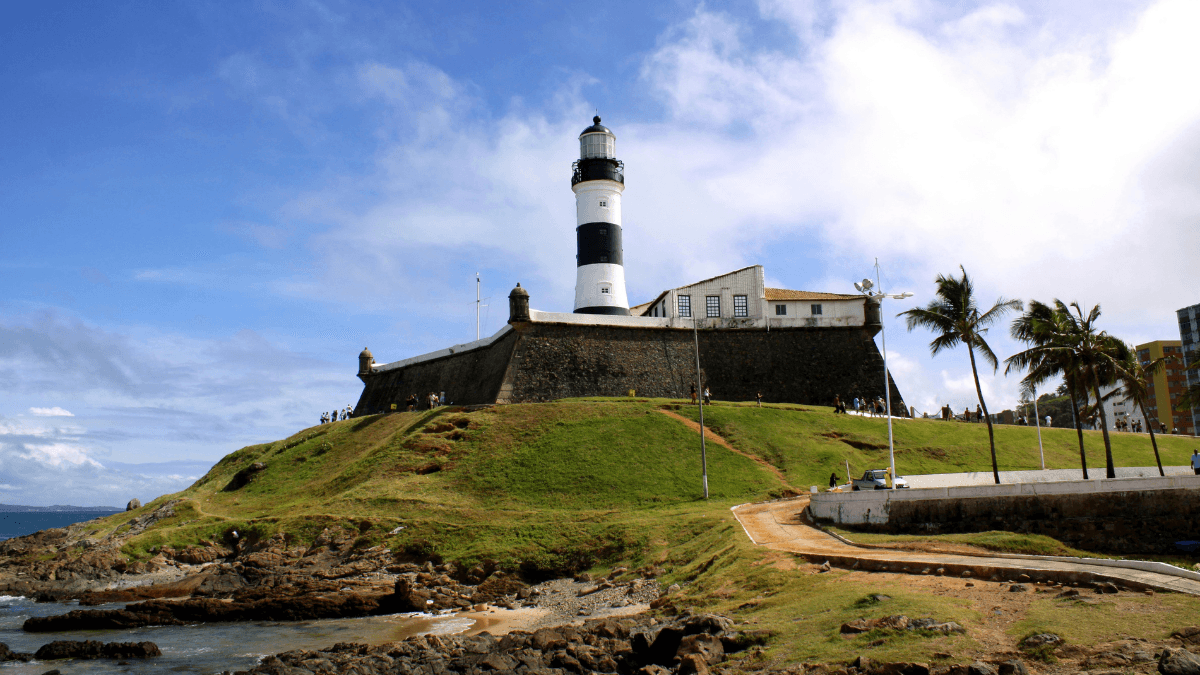 Bahia promulga lei que garante cannabis medicinal gratuita pelo SUS