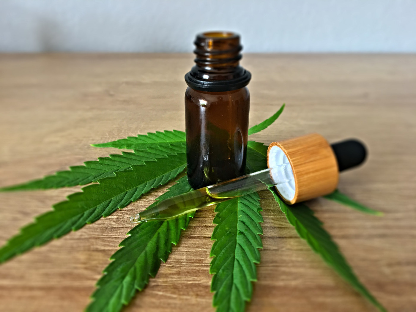 Bahia promulga lei que garante fornecimento gratuito de medicamentos à base de canabidiol pelo SUS