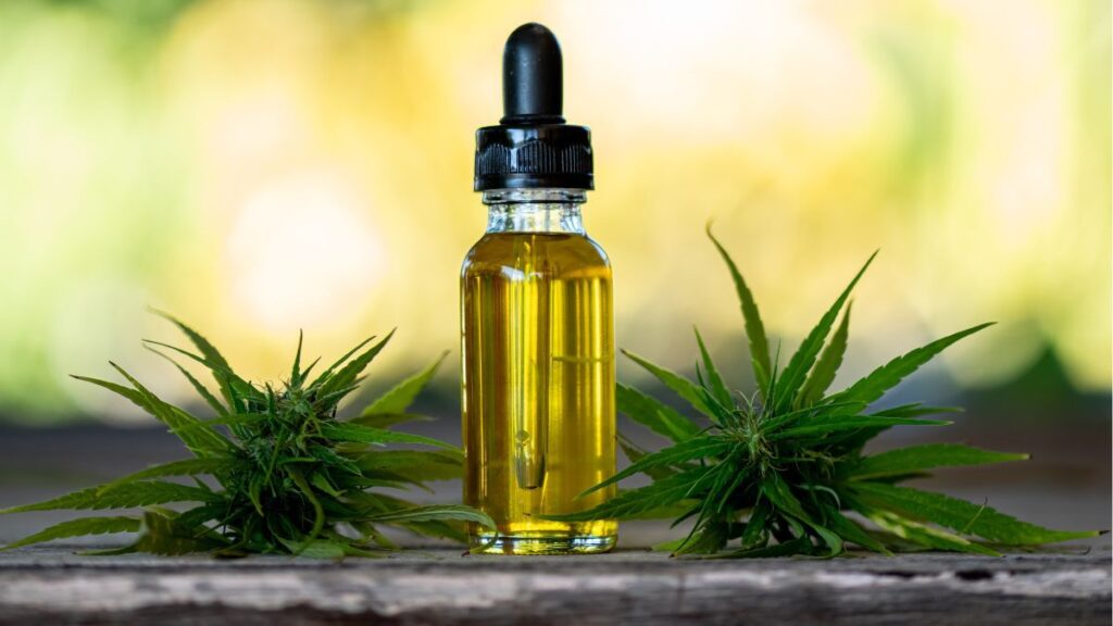 Câmara aprova distribuição de cannabis medicinal e sanção está a caminho