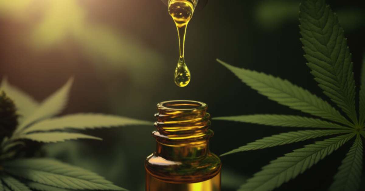 Cannabis Medicinal no SUS? Câmara de Porto Alegre debate ampliação do acesso