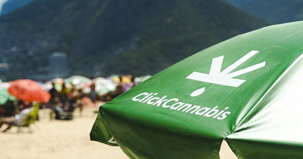 Click Cannabis cresce 7 vezes e mira R$ 30 milhões com CBD acessível