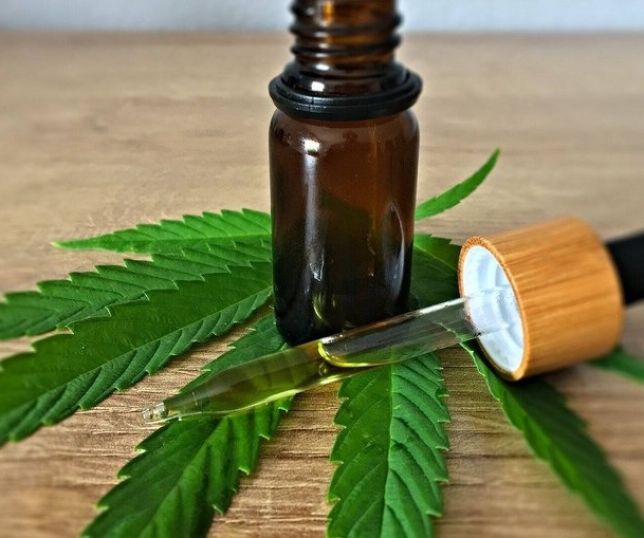 Notícias | Uso de canabidiol avança em casos de epilepsia grave | Portal do Zacarias