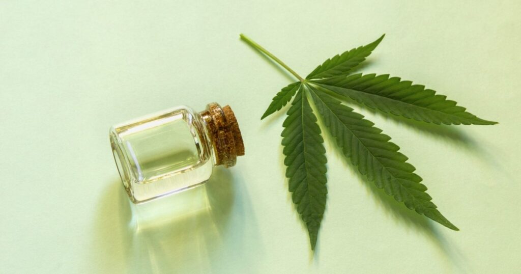 O uso da cannabis no debate de saúde pública