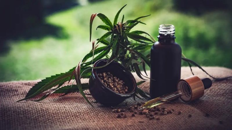PR passa a fornecer remédio à base de maconha pelo SUS