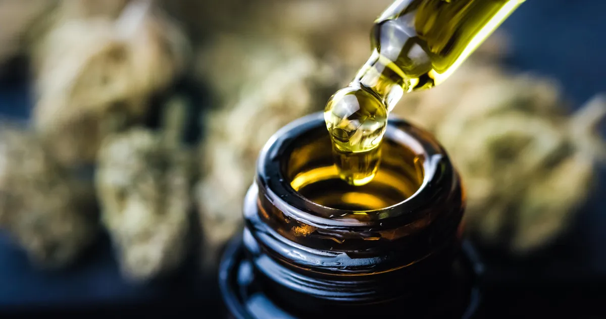 PR vai oferecer canabidiol para epilepsia refratária