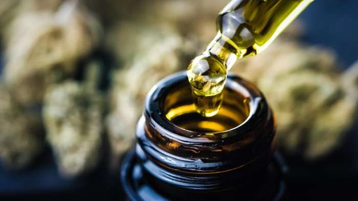 Paraná vai oferecer canabidiol para epilepsia refratária