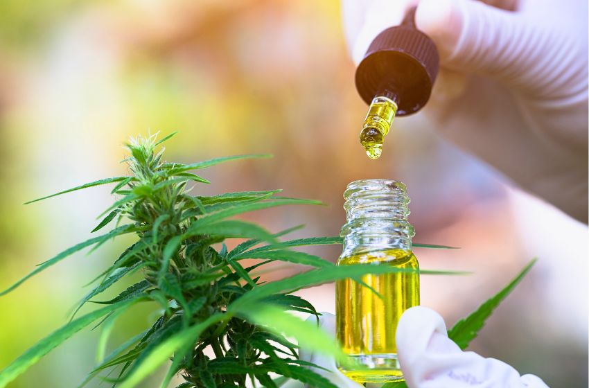 Projeto facilita acesso de pessoas com deficiência a remédios com canabidiol