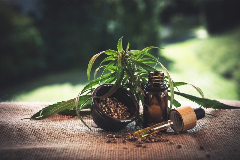 STJ: planos não precisam fornecer cannabis medicinal para uso domiciliar