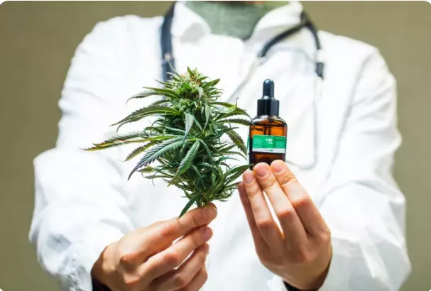 STJ prorroga até setembro prazo para regulamentação do cultivo medicinal da cannabis