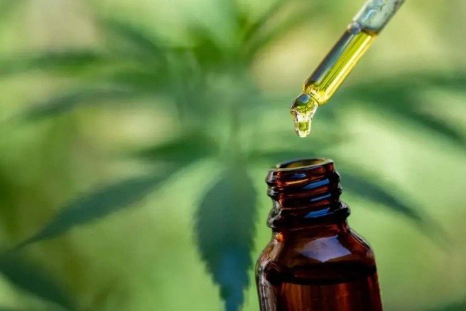 STJ prorroga prazo para regulamentação do cultivo medicinal de cannabis