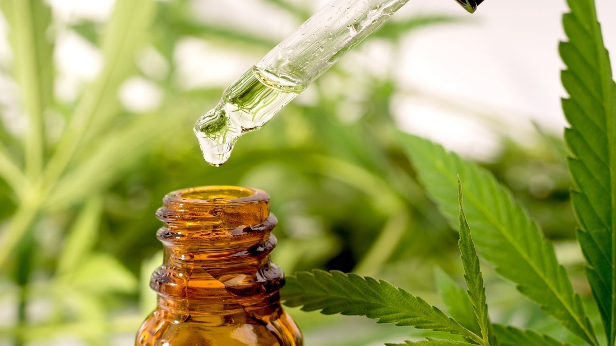 São Cristóvão, no Sergipe, regulamenta lei de acesso ao uso medicinal da cannabis no SUS